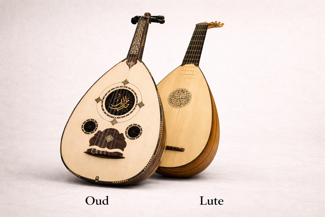 Oud vs Lute